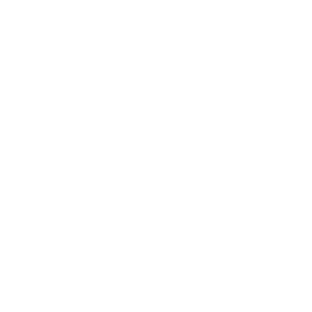 Agenzia Nazionale Giovani