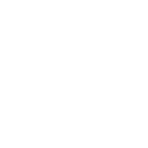 Global Shapers Roma