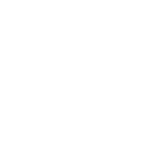 People’s Voice