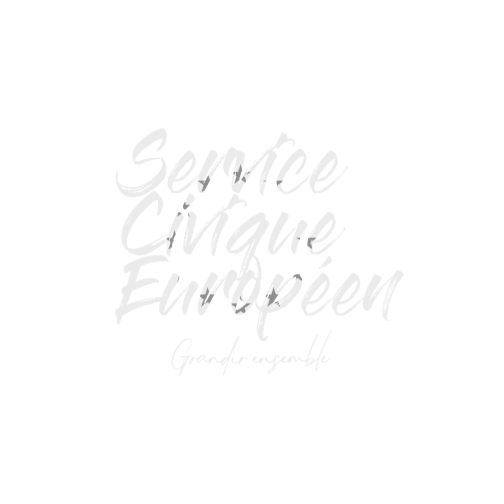Service Volontaire Europeen