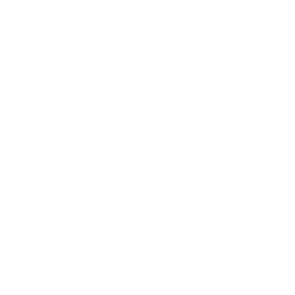 TedX Perugia