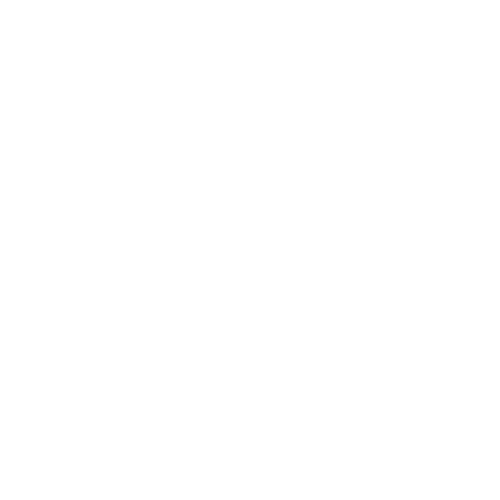 Venice Call