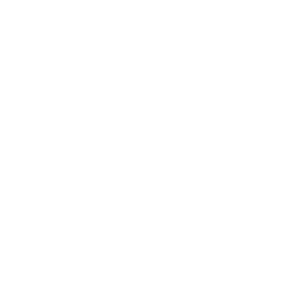 Young Ambassador Society